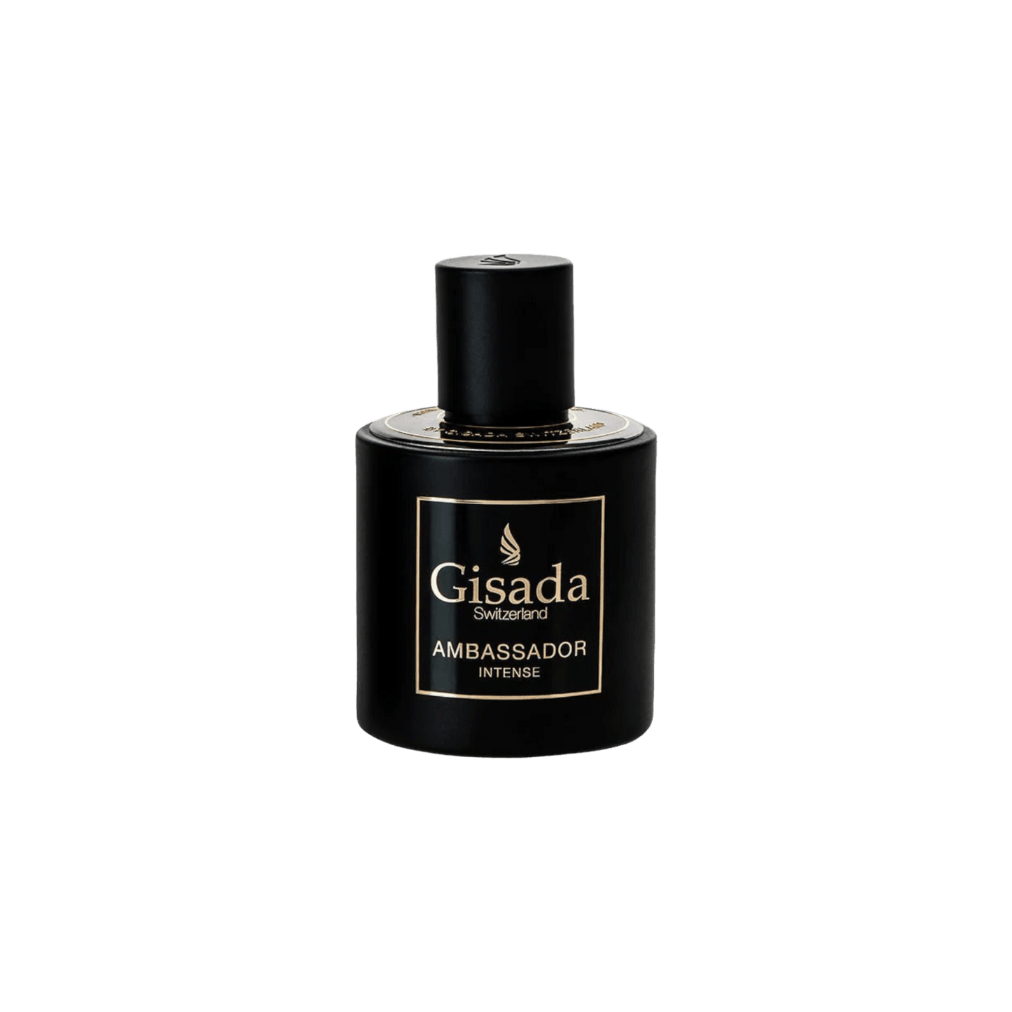 Ambassador Intense - Gisada.com