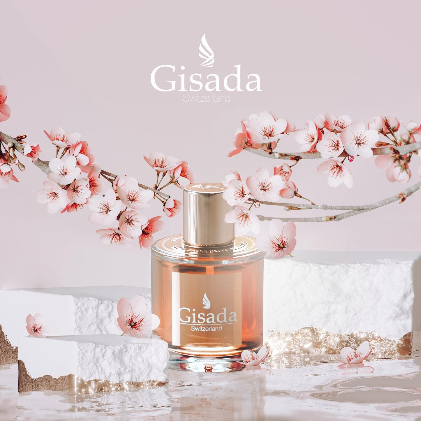 Ambassador Women - Gisada.com